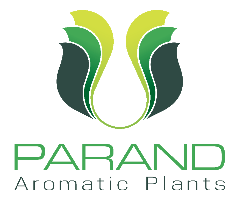 Parand International Group